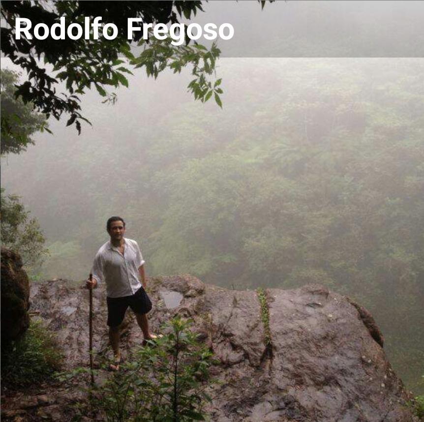 Screenshot_20240731_210538_WhatsAppBusiness